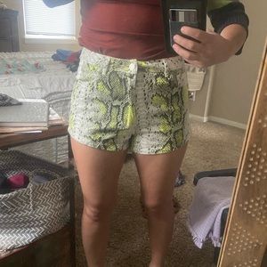 Snake Skin Misguided Shorts